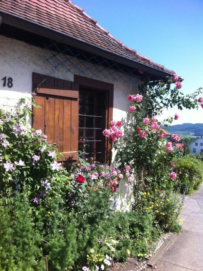 Micro-Apartment In Seenaehe Fusslaeufig Zum See:)) Ohningen Exterior foto